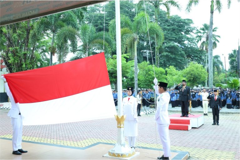 PJ BUPATI HSU PIMPIN UPACARA PERINGATAN HARI PAHLAWAN 2024